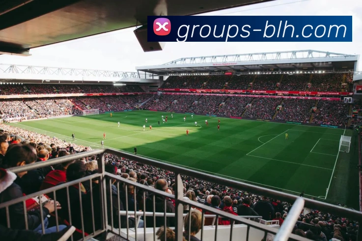 4001老百汇官网品牌故事